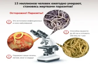 immunoactivator
 - коментари - производител - състав - България - отзиви - мнения - цена - къде да купя - в аптеките